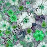 Colour:C