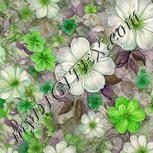 Colour:D