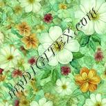 Colour:K