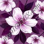 Colour:B
