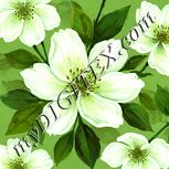 Colour:K