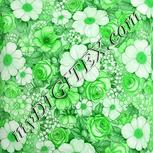 Colour:C