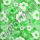 Colour:D