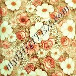 Colour:K