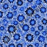 Colour:F