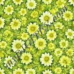 Colour:K