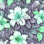 Colour:C