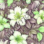Colour:D