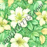 Colour:K