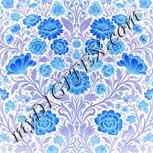Colour:F