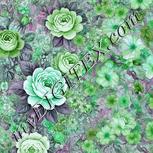 Colour:C