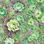 Colour:D