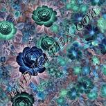 Colour:F