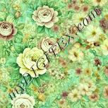 Colour:K