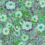 Colour:C