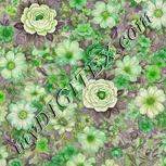 Colour:D
