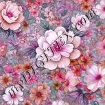 Colour:B