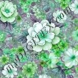 Colour:C