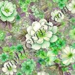 Colour:D