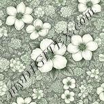 Colour:D