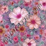 Colour:B