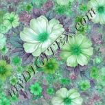 Colour:C
