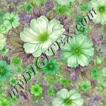 Colour:D