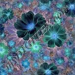 Colour:F