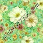 Colour:K