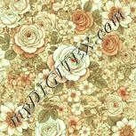 Colour:K