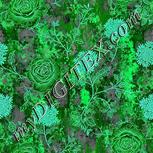 Colour:C