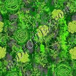 Colour:D