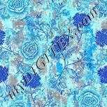 Colour:F