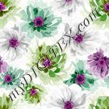 Colour:B