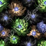 Colour:F
