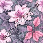 Colour:B