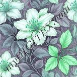 Colour:C