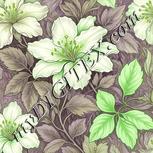 Colour:D