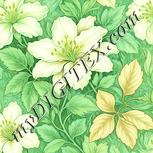 Colour:K
