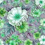 Colour:C