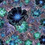 Colour:F