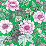Colour:B