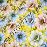 Colour:A