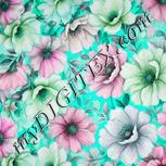 Colour:C