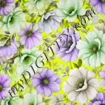 Colour:D