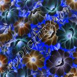Colour:F