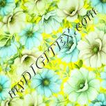 Colour:K