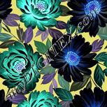 Colour:F