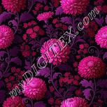 Colour:B