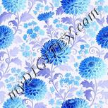 Colour:F